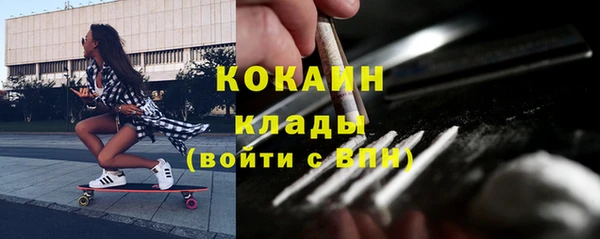 амф Алексин