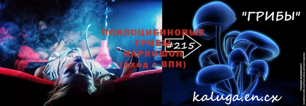 амф Алексин