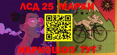 стаф Сланцы