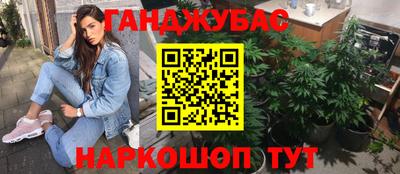 стаф Сланцы