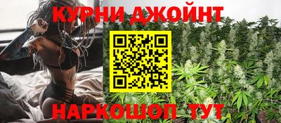 стаф Сланцы