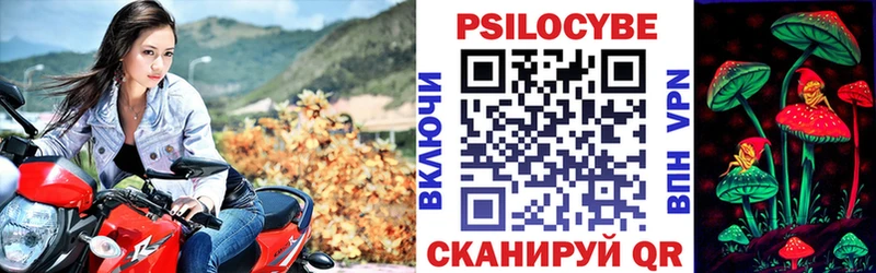 Галлюциногенные грибы Psilocybine cubensis  Южно-Сахалинск 