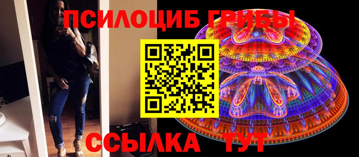 Южно-Сахалинск  Псилоцибиновые грибы Psilocybe  Вход с VPN  Галлюциногенные грибы мицелий 