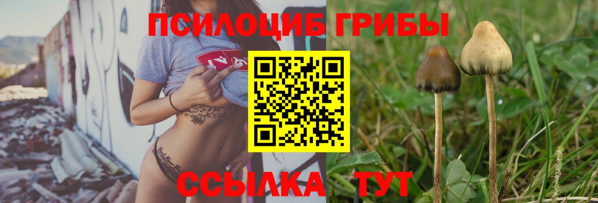 Псилоцибиновые грибы GOLDEN TEACHER Южно-Сахалинск